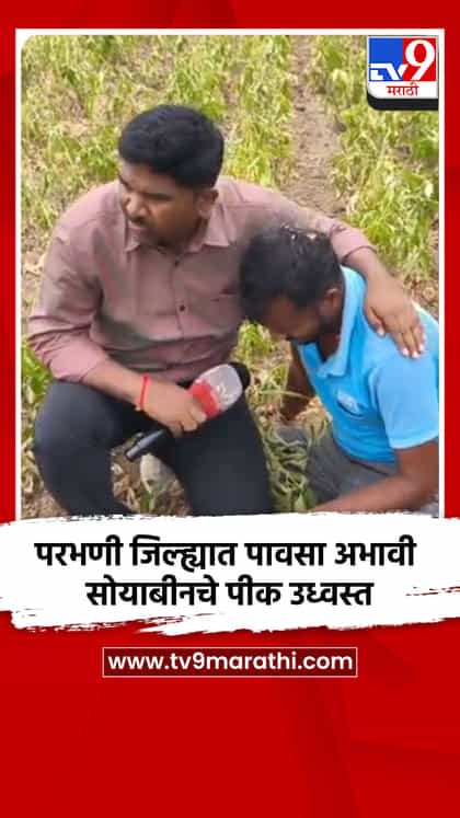 परभणी जिल्ह्यात पावसा अभावी सोयाबीनचे पीक उध्वस्त-1747653