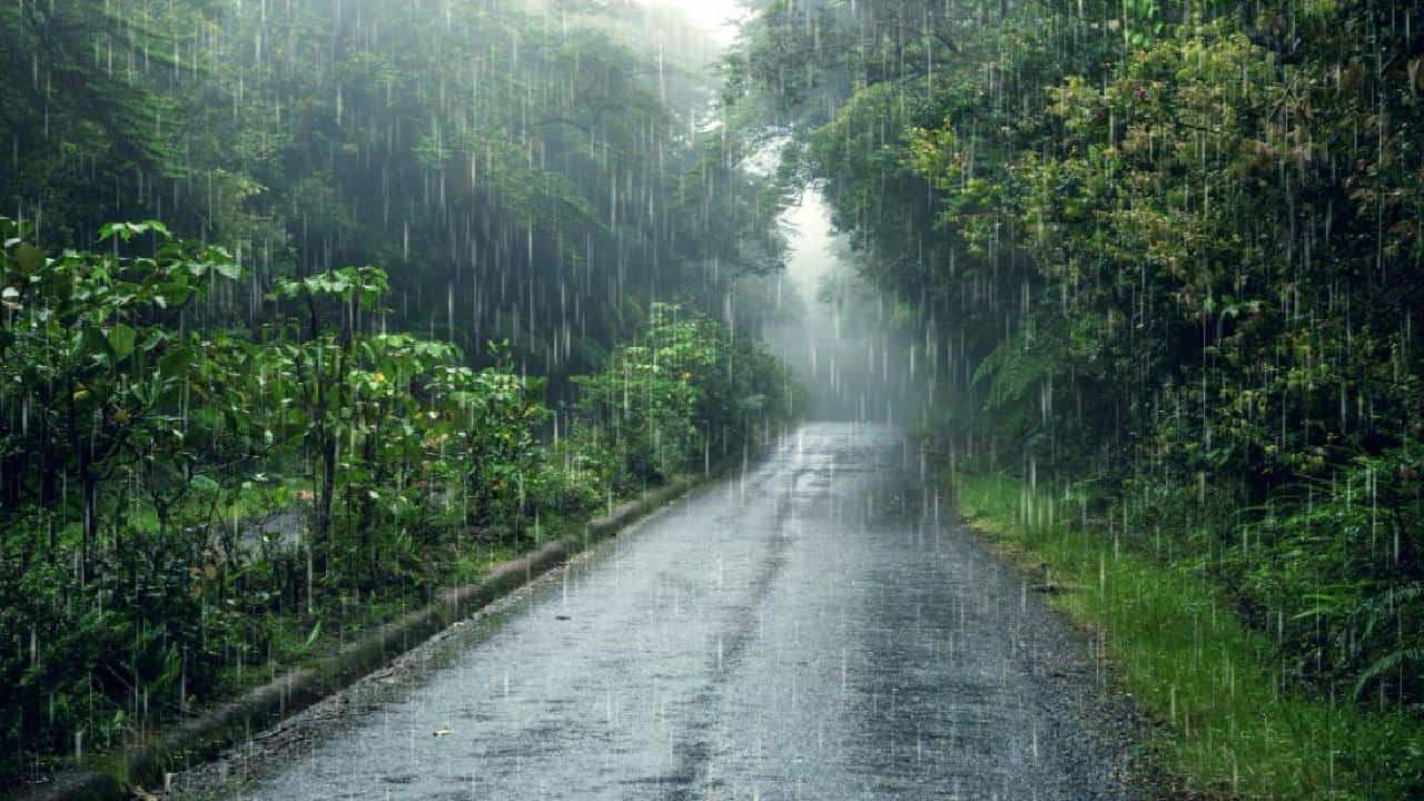 महाराष्ट्रात गेल्या काही महिन्यांपासून पावसाचे प्रमाण घटले आहे. दीड महिना अपुऱ्या पावसामुळे शेतकरीही अडचणीत आले होते. खरीप हंगामातील पावसाच्या कमतरतेचा परिणाम शेतीवर दिसून येत आहे. मात्र, आता हवामान विभागाच्या नव्या अंदाजाने शेतकऱ्यांना काहीसा दिलासा मिळाला आहे.