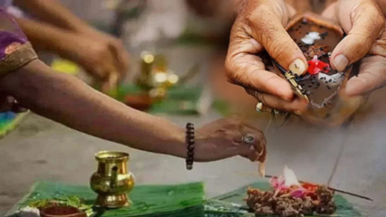 पितृपक्षात चुकूनही खरेदी करू नका या ६ वस्तू; जाणून घ्या यामागची धार्मिक मान्यता पितृपक्षात चुकूनही खरेदी करू नका या ६ वस्तू; जाणून घ्या यामागची धार्मिक मान्यता