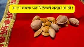 हरितालिकेच्या पूजासाहित्यात चक्क प्लास्टिकचे बदाम, शिर्डीतील बनावट पूजासाहित्य विक्रेत्यावर नगरपरिषदेची कारवाई