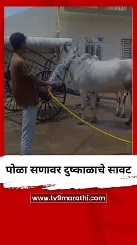 पोळा सणावर दुष्काळाचे सावट सावट
