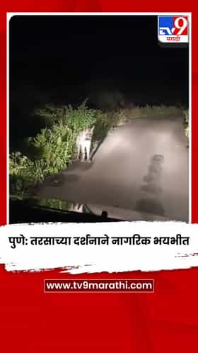 पुणे: तरसाच्या दर्शनाने नागरिक भयभीत; वनविभागाच्या कारवाईची मागणी