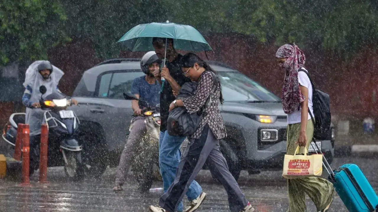10 सप्टेंबर रोजी देखील दक्षिण कोकण-गोव्यात काही ठिकाणी हलका पाऊस पडण्याची शक्यता आहे. तर मराठवाडा आणि मध्य महाराष्ट्रात तुरळक पाऊस पडेल असा अंदाज वर्तवला जात आहे. 