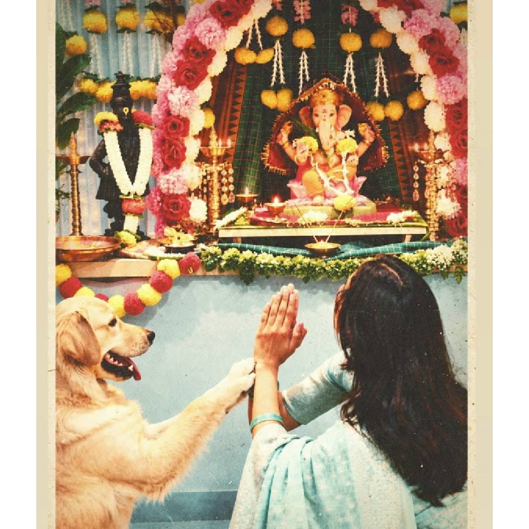 ‘गणपती बाप्पा मोरया! मंगलमूर्ती मोरया! बाप्पा प्रत्येकाच्या घरात आनंद घेऊन येऊ दे’ असं कॅप्शन देत रिंकूने हे खास फोटो शेअर केले आहेत. आपल्या घरातच नव्हे तर प्रत्येकाच्या आयुष्यात बाप्पाने आनंद, सुख आणि समृद्धी आणावी, अशी भावना तिने या पोस्टमधून व्यक्त केली आहे.
