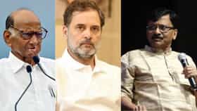 संजय राऊत कुणाचा माणूस? शरद पवार की राहुल गांधी? राऊतांनी दिलं थेट उत्तर