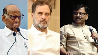 संजय राऊत कुणाचा माणूस? शरद पवार की राहुल गांधी? राऊतांनी दिलं थेट उत्तर