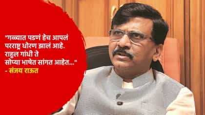 संजय राऊत यांची मोदींवर खोचक टीका, म्हणाले, तेच आता पप्पू....