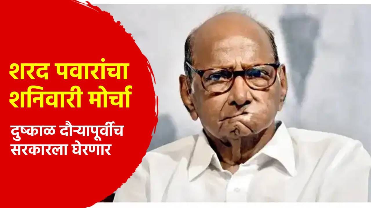 सरकारला सदबुद्धी देवो... शरद पवारांचा शनिवारी मोर्चा; दुष्काळ दौऱ्यापूर्वीच सरकारला घेरणार सरकारला सदबुद्धी देवो... शरद पवारांचा शनिवारी मोर्चा; दुष्काळ दौऱ्यापूर्वीच सरकारला घेरणार