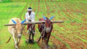शेतकऱ्यांसाठी सरकारचा मोठा निर्णय! थेट शेतात जाऊन...