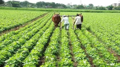 शेतकऱ्यांसाठी मोठी बातमी! मराठवाडा-उत्तर महाराष्ट्रात 35% कमी पाऊस....