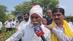 पोरीचं लग्न कसं करायचं? उभा सोयाबीन जळाला... बाप शेतात ढसाढसा रडला; हिंगोलीतच नव्हे...