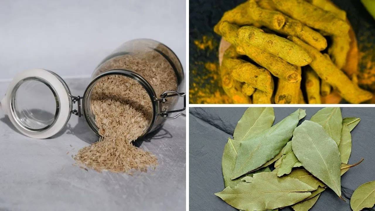 पावसाळ्यात तांदूळ स्टोअर करताना त्यात पोरकिडे होण्याचा धोका असू शकतो. त्यामुळे तांदूळ साठवताना त्यात तमालपत्र किंवा अख्खी हळद ठेवा. अशाने तांदळामध्ये किडे होत नाही. या दोन्ही गोष्टींच्या गंधामुळे कीडे दूर राहतात. तसेच तांदूळ हे एअरटाइट डब्यात ठेवावोत, म्हणजे त्यांना ओलावा लागणारा नाही. 