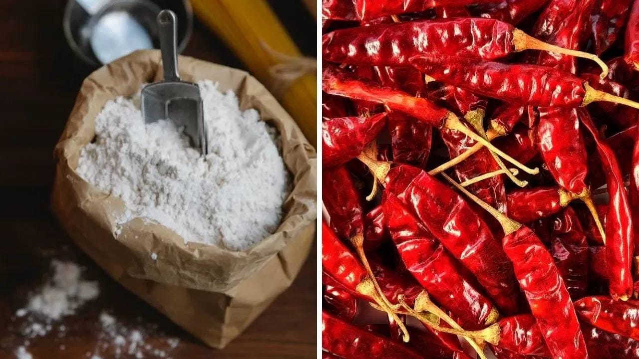 जर एखाद्या पीठामध्ये घुण किंवा पांढऱ्या रंगाचे किडे लागल्यास त्यापासून बचाव करण्यासाठी पीठ, मैदा, बेसन इत्यादी साठवताना त्यामध्ये सुक्या मिरच्या टाकून ठेवा. उदाहरणार्थ, 10 किलो पीठ असेल तर त्यामध्ये कमीत कमी 20 ते 25 सुक्या लाल मिरच्या टाका. याशिवाय, त्यामध्ये खडे मीठही घालू शकता.