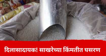गणपत्ती बाप्पा सर्वसामान्यांना पावला; साखरेच्या किंमतीत मोठी घसरण.