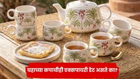 चहाच्या कपाचीही एक्सपायरी डेट असते का? या खुणा दिसल्या तर लगेच बदला