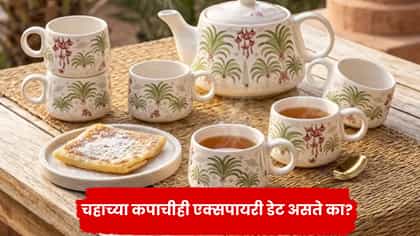 चहाच्या कपाचीही एक्सपायरी डेट असते का? या खुणा दिसल्या तर लगेच बदला.