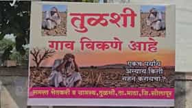 Solapur : शेती उद्ध्वस्त, तरुण बेरोजगार अन्...; 30-35 वर्षांच्या पाणी संघर्षानंतर तुळशी गावकऱ्यांनी घेतला टोकाचा निर्णय...