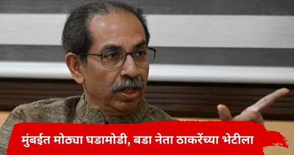 मोठी घडामोड, 30 खासदार असलेल्या पक्षाचा महत्वाचा नेता उद्धव ठाकरेंच्या भेटीला, दोघांमध्ये काय चर्चा होणार?