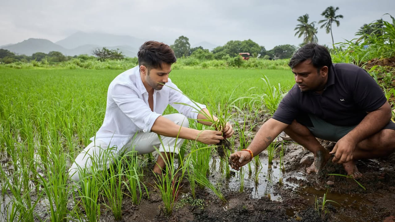 बॉलिवूड अभिनेता वरुण धवन सध्या आपल्या नव्या भूमिकेमुळे चर्चेत आला आहे. ऑगस्ट 2026 मध्ये स्वतःची शेतीची जमीन खरेदी केल्यानंतर आता वरुणने प्रत्यक्ष शेती करण्यास सुरुवात केली आहे.