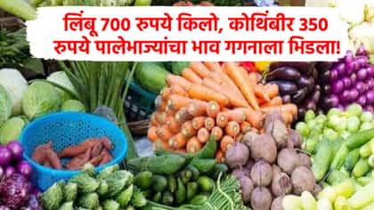 लिंबू 700, कोथिंबीर 350 रुपये किलो, भाजीपाला प्रचंड महागला, कारण काय?.