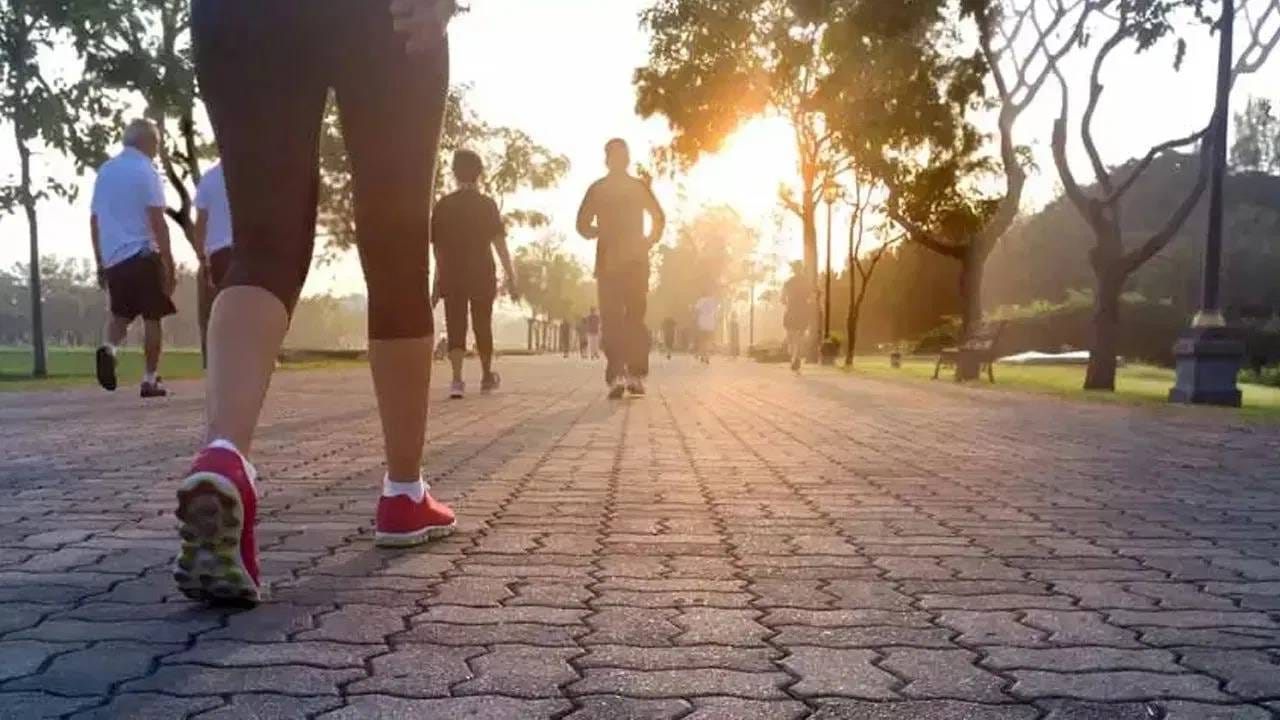 एवढंच नव्हे तर जेवणानंतर थोडा वेळ जरी चाललं ना तर पोट आणि आतड्यांमधील हालचाल (संकुचनाची प्रक्रिया) सुरळीत होऊ शकते. त्यामुळे अन्न पचनसंस्थेत पुढे जाण्यास मदत होते. थोडा वेळ चालल्यामुळे गॅसे, ॲसिडिटी, पोट फुगणे (ब्लोटिंग) किंवा अपचनाचा त्रास असलेल्या लोकांचा त्रास बराच कमी होऊ शकतो. त्यांना आराम मिळू शकतो.