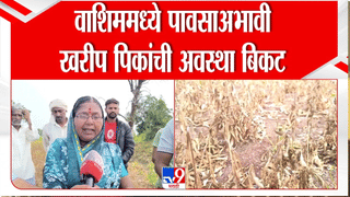 Washim Soyabean Farmer Issue | वाशिममध्ये पावसाअभावी खरीप पिकांची अवस्था बिकट