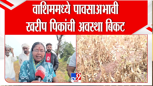 Washim Soyabean Farmer Issue | वाशिममध्ये पावसाअभावी खरीप पिकांची अवस्था बिकट