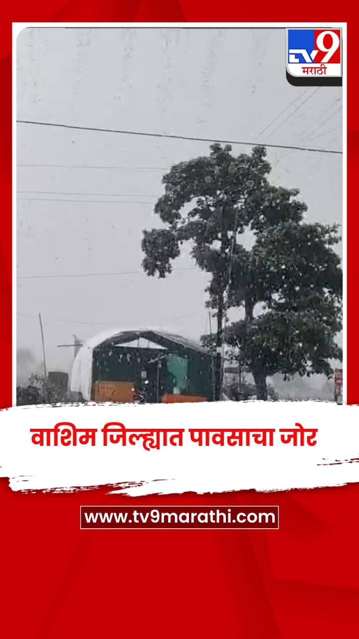 वाशिम जिल्ह्यात पावसाचा जोर-1762833