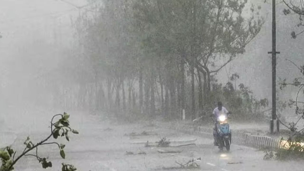 दुष्काळाचे मोठे सावट आहे. पुढील काही दिवसात पाऊस आला नाही तर शेतकरी संकटात येऊ शकतात. परभणी, बीड, नांदेड या जिल्ह्यात स्थिती अधिक गंभीर आहे.
