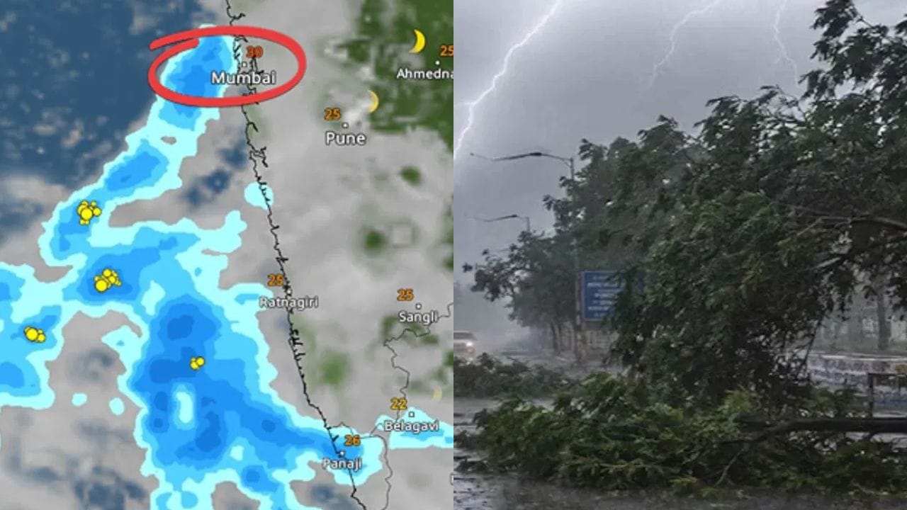 राज्यात पावसाने पाठ फिरवली. शेतकरी पावसाची वाट पाहत आहेत. मात्र, पाऊस गायब आहे. त्यातच भारतीय हवामान विभागाच्या अंदाजानुसार, राज्यात पुढील काही दिवस पाऊस नसेल. ज्यामुळे शेतकरी चिंतेत आलेत.