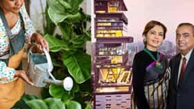 Antilia Gardener Salary: अँटिलायामध्ये झाडाला पाणी घालणाऱ्याचा पगार किती? आकडा ऐकून धक्काच बसेल
