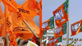भाजपच्या मेळाव्यात शिवसेना तर शिवसेनेच्या मेळाव्यात भाजप आमदाराची पाठ, राजकारण तापलं
