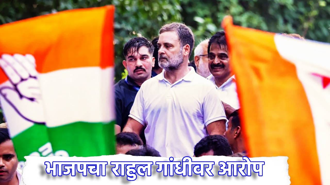 Rahul Gandhi: तीन महिन्यांच्या गरोदर महिला पत्रकाराला राहुल गांधी यांचा धक्का? भाजपचा आरोप, नेमकं घडलं तरी काय? Rahul Gandhi: तीन महिन्यांच्या गरोदर महिला पत्रकाराला राहुल गांधी यांचा धक्का? भाजपचा आरोप, नेमकं घडलं तरी काय?