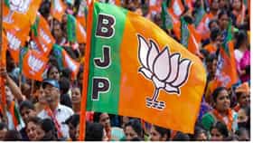 मोठी बातमी! भाजपला मोठा धक्का; मित्र पक्षाचे आमदार करणार बंडखोरी, पक्षाध्यक्ष हतबल, राजकारण तापलं