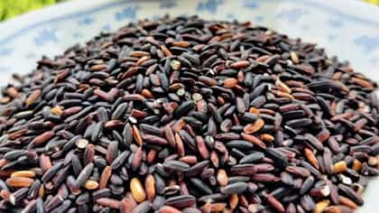 Black Rice: भारतात कुठे पिकतो काळा तांदुळ? सौदी ते मलेशियापर्यंत मागणी
