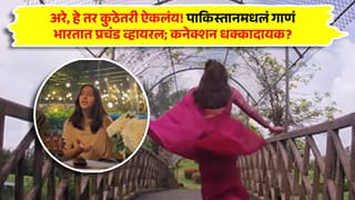 अरे, हे तर कुठेतरी ऐकलंय! पाकिस्तानमधलं गाणं भारतात प्रचंड व्हायरल; कनेक्शन धक्कादायक