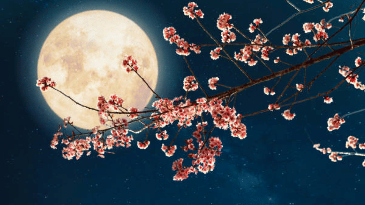 Flowers : जगातील एकमेव फुल जे वर्षातून एकदा अन् मध्यरात्री उमलतं, इतकं सुंदर की पाहणाऱ्यांना…