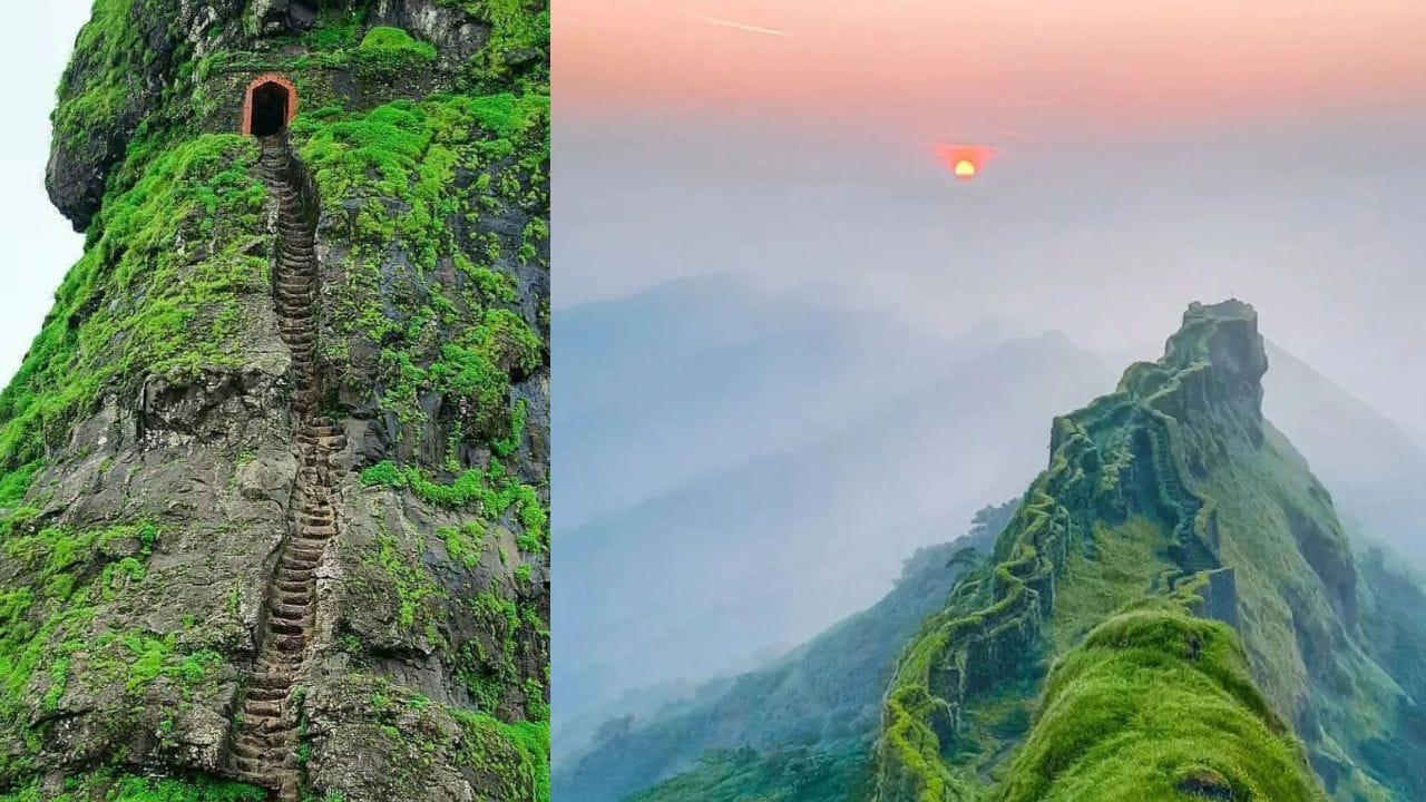 हरिहर गडाचा उभा कातळ सडा चढताना अनेकांची धडधड वाढते. पण सह्याद्रीत असा एक किल्ला आहे जो सर करायला हरिहरपेक्षाही भयानक कठीण आहे. खडकाळ वाट तीव्र चढाई आजूबाजूला असणाऱ्या खोल दऱ्या यामुळे सराईत ट्रेकर्सनाही इथे अक्षरक्ष:घाम फुटतो. मग नेमका कुठे आहे हा किल्ला जाणून घ्या
