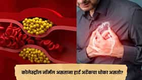 कोलेस्ट्रॉल नॉर्मल असलं तरीही हार्ट अटॅकचा धोका असतो का? तज्ज्ञांनी सांगितली महत्त्वाची कारणं