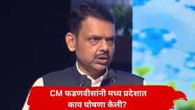 महाराष्ट्रात रोजगाराच्या संधी वाढणार; ऐन दुष्काळात CM फडणवीस यांची मध्य प्रदेशातून सर्वात मोठी घोषणा