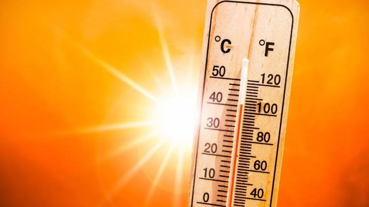 मुंबई, ठाणे, रायगड आणि पालघरमध्ये उष्ण आणि दमट वातावरण राहण्याचा अंदाज हवामान विभागाने वर्तवला. थेट उष्णतेचा येलो अलर्ट जारी केला. राज्यात ऑक्टोबरमध्येच उकाडा जाणवत आहे.