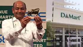 DMart: डी-मार्टचे मालक राधाकिशन दमानींकडे तब्बल इतकी संपत्ती, शेअर बाजारात कोट्यवधींची गुंतवणूक; कोणत्या 10 शेअर्सवर सर्वाधिक भर?