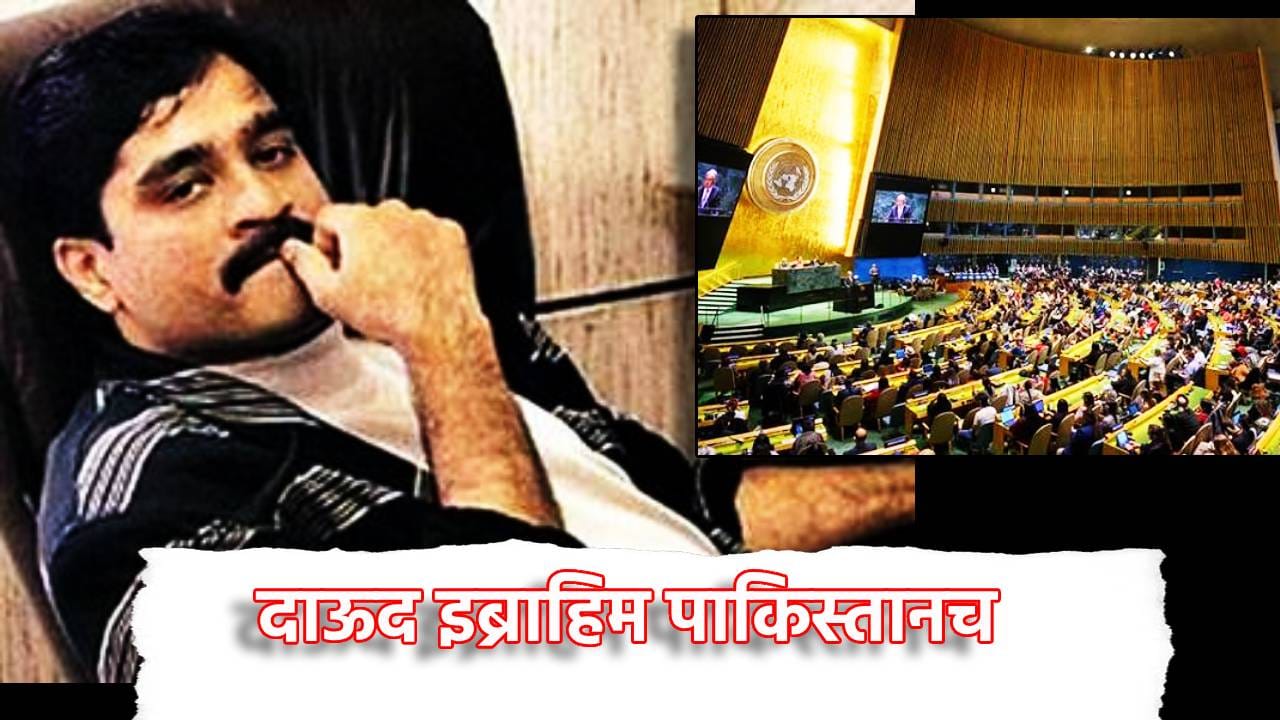 दाऊद इब्राहिम पाकिस्तानच, हे घ्या पुरावे, भारताने संयुक्त राष्ट्रात धु धू धुतले दाऊद इब्राहिम पाकिस्तानच, हे घ्या पुरावे, भारताने संयुक्त राष्ट्रात धु धू धुतले