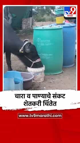चारा व पाण्याचे संकट शेतकरी चिंतेत