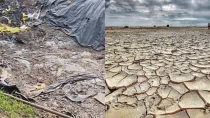 दुष्काळ जाहिर केला पण मदत कधी मिळणार? युवा शेतकऱ्याचा थेट सवाल.