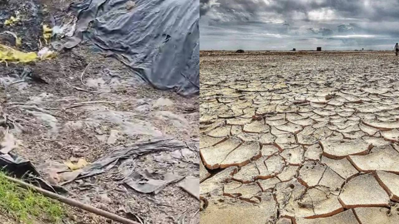 दुष्काळ जाहिर केला पण मदत कधी मिळणार? युवा शेतकऱ्याचा थेट सवाल दुष्काळ जाहिर केला पण मदत कधी मिळणार? युवा शेतकऱ्याचा थेट सवाल