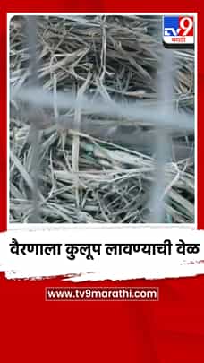दुष्काळाची तीव्रता वाढली; जनावरांचा चारा जपण्यासाठी वैरणाला कुलूप लावण्याची वेळ-1782538