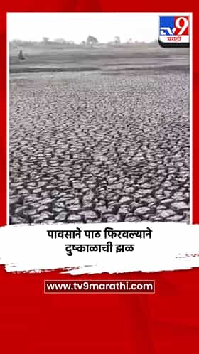 पावसाने पाठ फिरवल्याने दुष्काळाची झळ