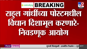 राहुल गांधींच्या आरोपांवर निवडणूक आयोगाचं स्पष्टीकरण; म्हणाले, ‘ते...-1772841
