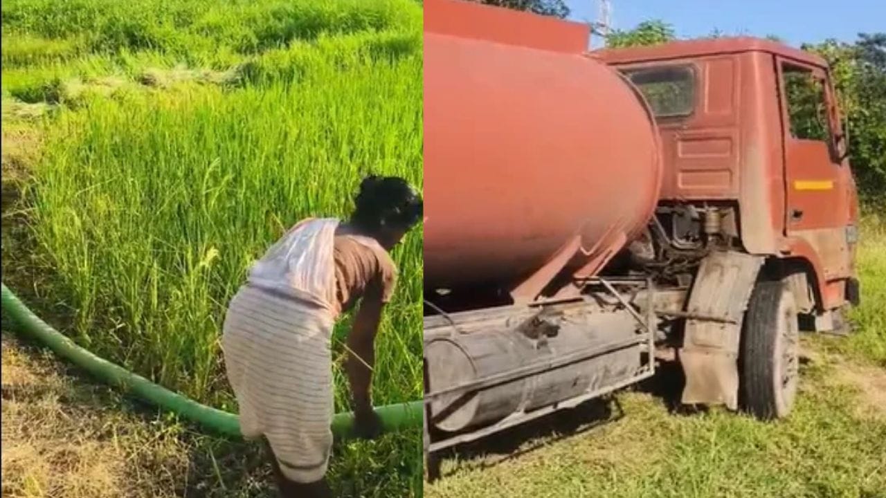 पावसाअभावी बळीराजावर अतिरिक्त खर्चाचा भार पडत असून, हातातोंडाशी आलेले भात पीक वाचवण्यासाठी शेतकरी आटोकाट प्रयत्न करत आहेत.